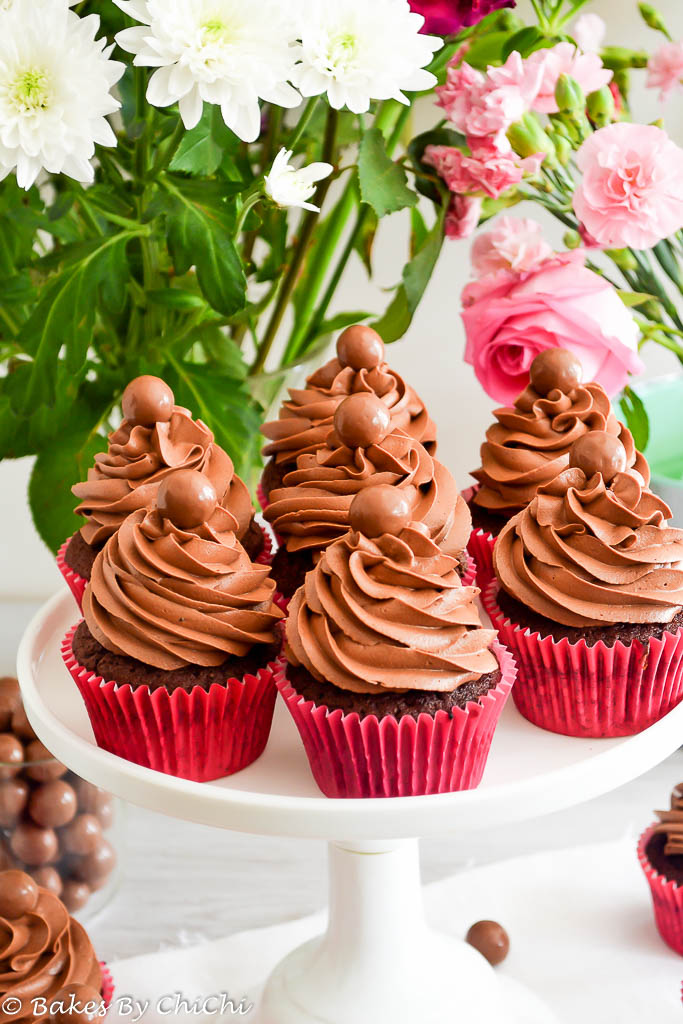 Hot Chocolate Malt Cupcakes