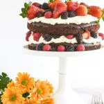 Chocolate Cake with Mascarpone Cream & Berries