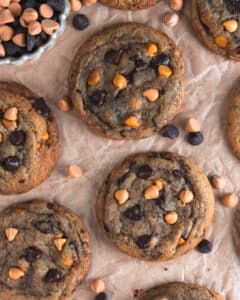 Butterscotch Chocolate Chip Cookies