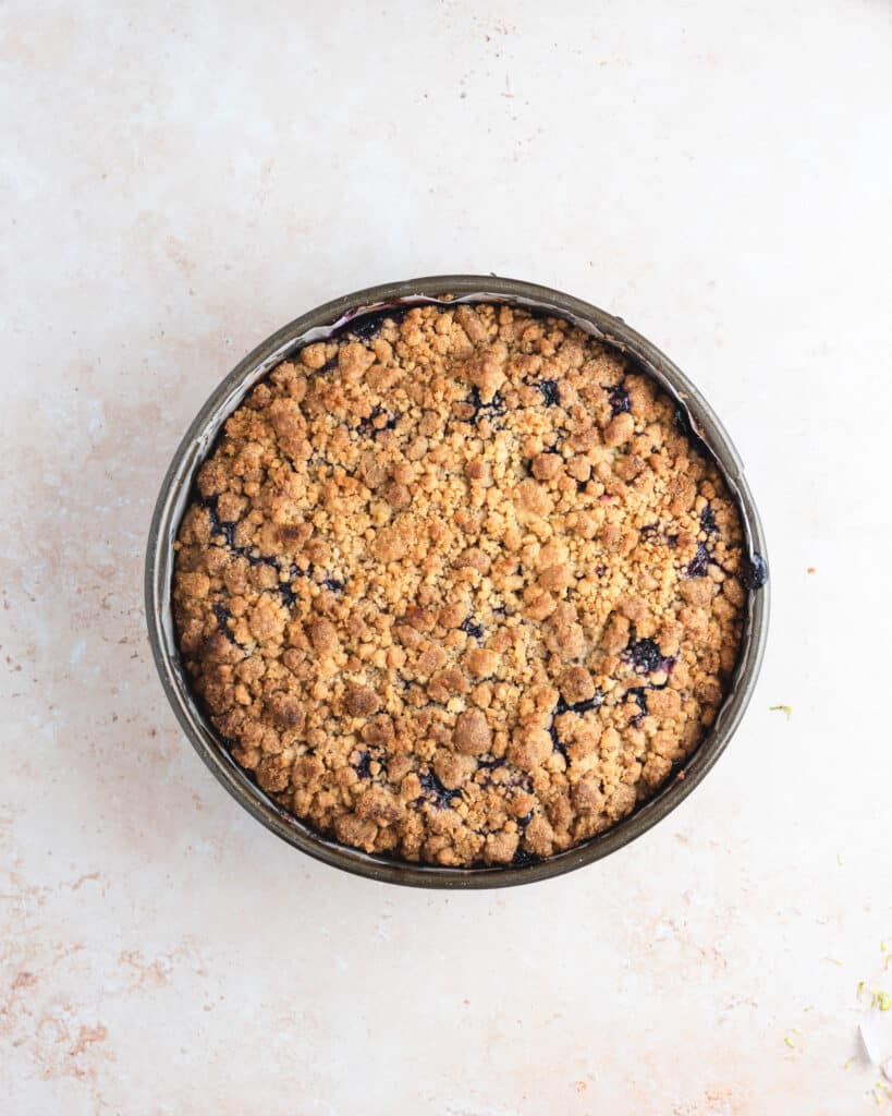 Blueberry Crumb Cake